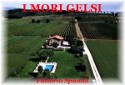 Agriturismo I Mori Gelsi