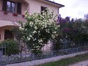 Bed and breakfast Il Castellare