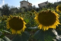 Bed and breakfast Il sorriso