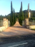 alveare