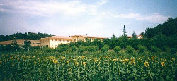 alveare